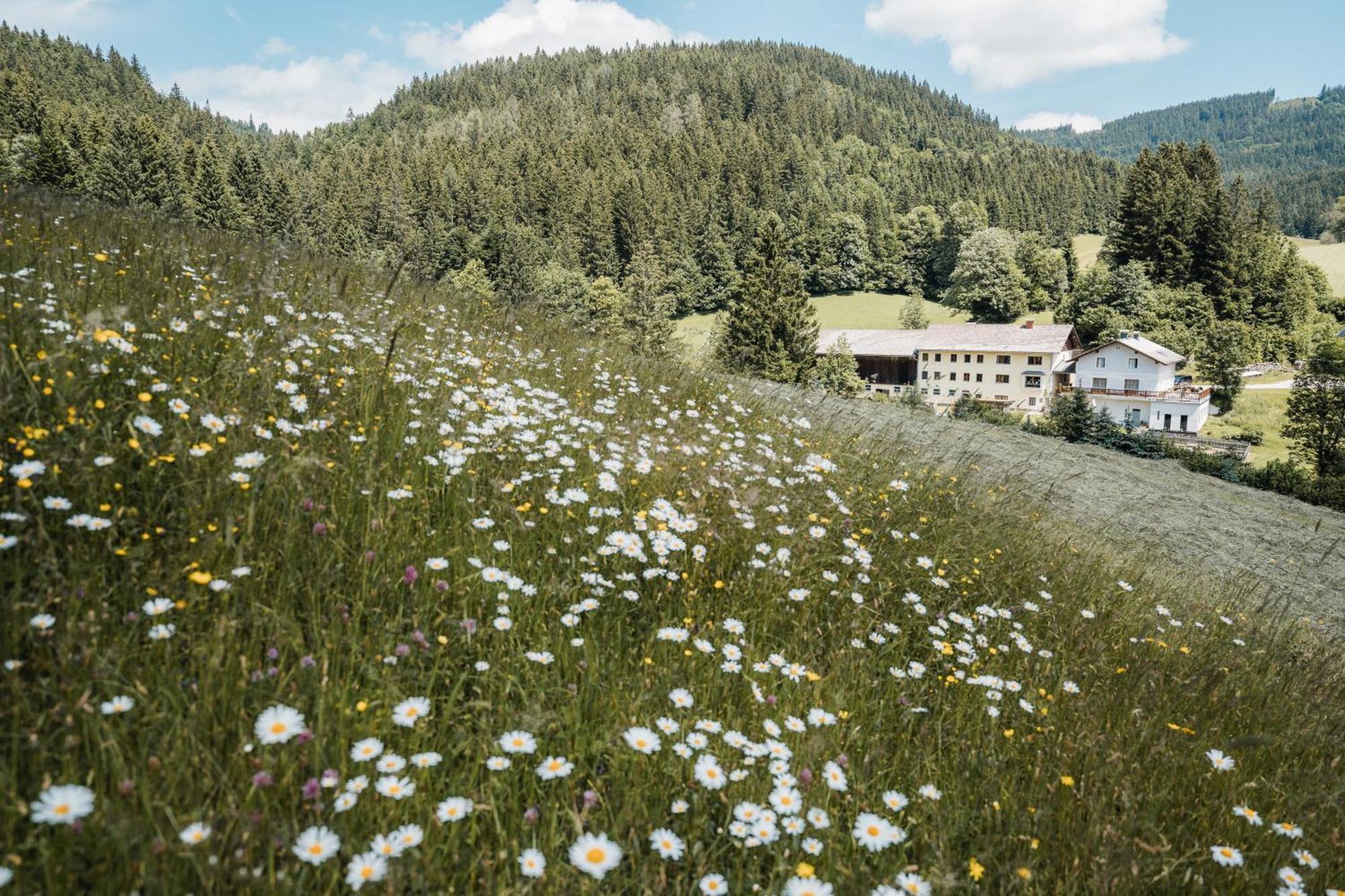 Vila Biohof Teufel Lunz am See Exteriér fotografie